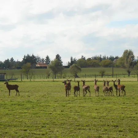 La Ferme aux Biches-2
