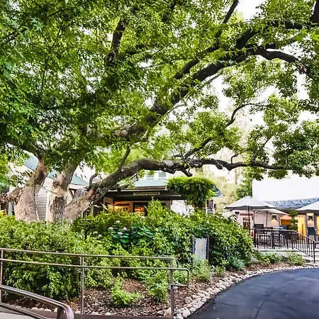 Appellation Lodi - Wine & Roses Resort And Spa-3