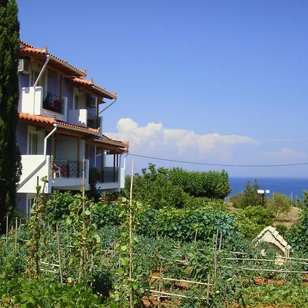 Villa Eliza-2