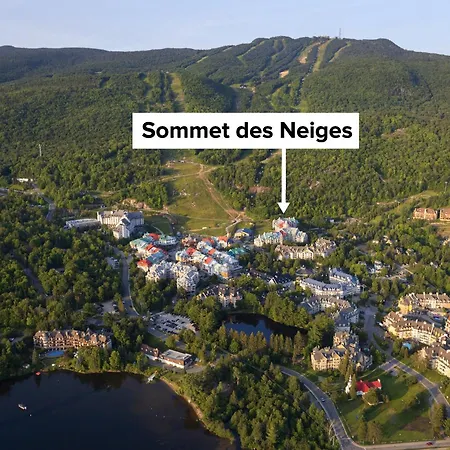 Sommet Des Neiges-3