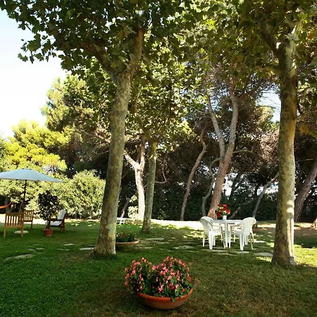 B&B Il Parco Dei Pini-2