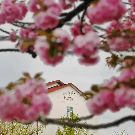 Normandy Farm Hotel & Conference Center-3