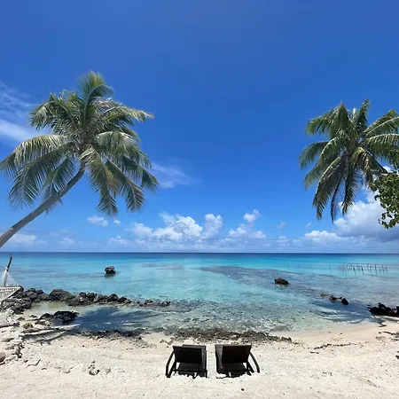 Le Coconut Lodge-2