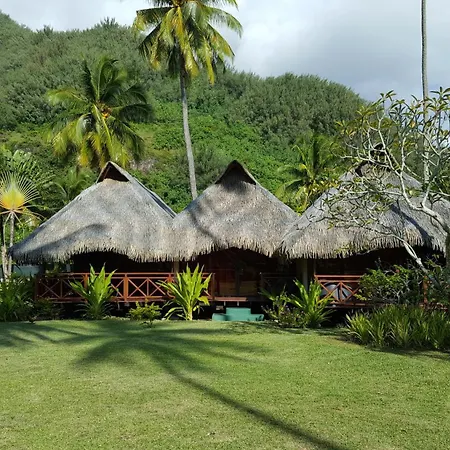 Hotel Hibiscus-2