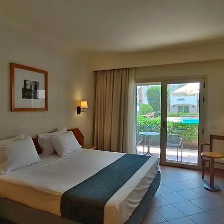 Camel Dive Club & Boutique Hotel-3