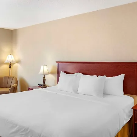 Quality Inn & Suites Edmonton International Airport-3