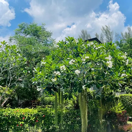 Khaolak Forest Resort-2