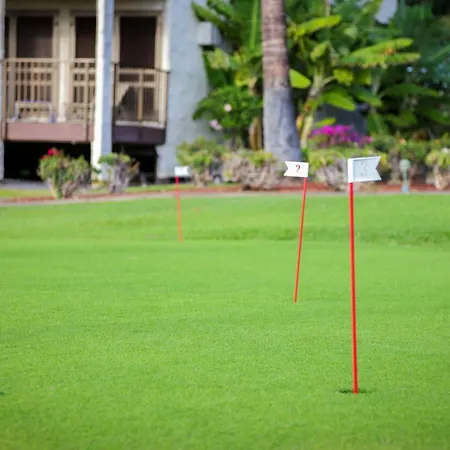 Aston Maui Hill-2