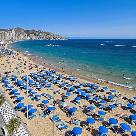 Barcelo Benidorm Beach - Adults Recommended-2