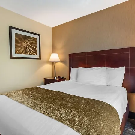 Best Western Braintree Inn-3
