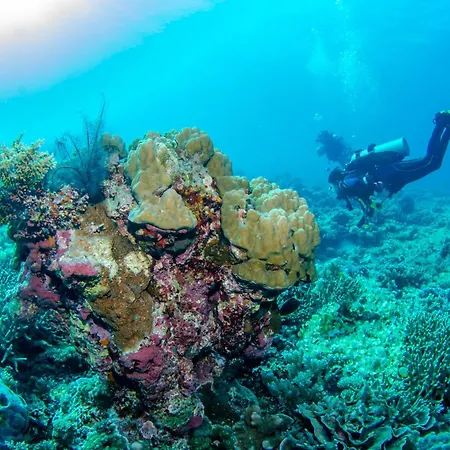 Tranquility Island Eco Dive Resort-2