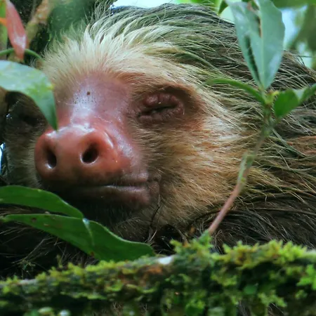 La Selva Biological Station-2