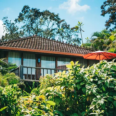 La Coralina Island House-2