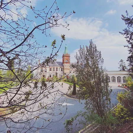 The Lucan Spa Hotel-3