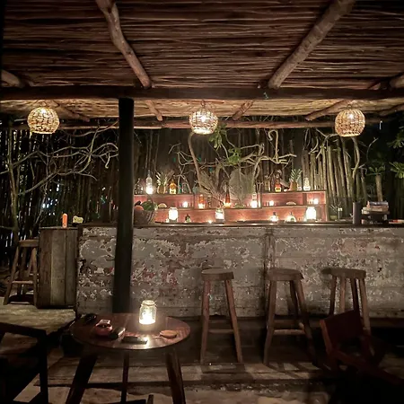 Luv Tulum-2