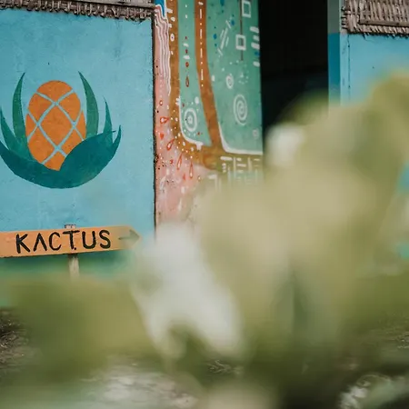 Kactus - Your Island Sanctuary-2