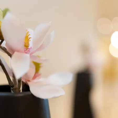 Hôtel Ben Aouda&Spa-3
