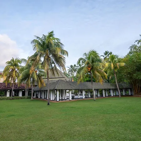 The Palms-2
