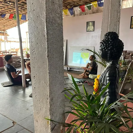 Drishti Yoga International-3