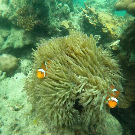Noble House Beach Resort-3