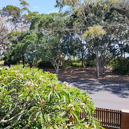 Shelly Beach Motel-3