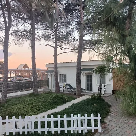 Teos Ormanci Tatil Koyu-3