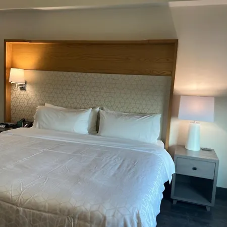 Holiday Inn Uruapan By Ihg-2