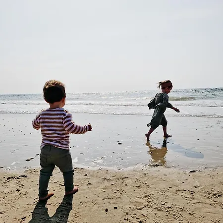 Strandhuisjes Zoomers aan Zee-2