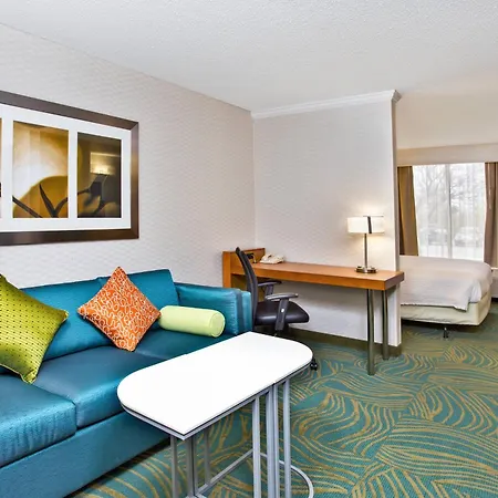 Springhill Suites By Marriott Chicago Naperville Warrenville-2