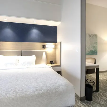 Springhill Suites By Marriott Savannah I-95 South-3