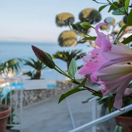 Hotel Villa Lubrense Sorrento-2
