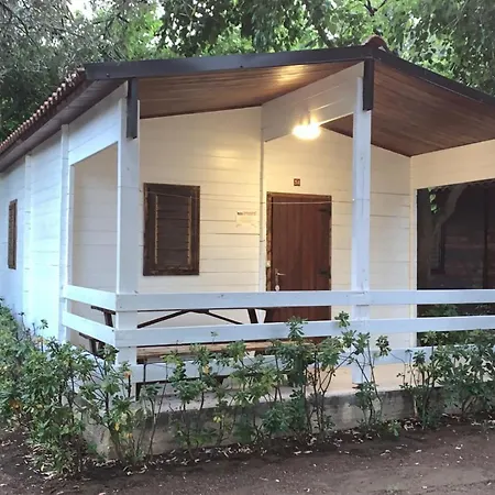 Viola Club Village & Camping-3