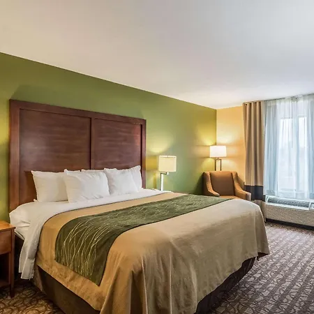 Comfort Inn & Suites Panama City North-3