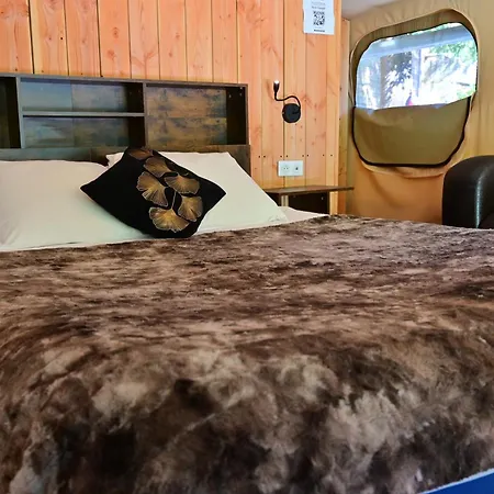 Prehistoric Lodge - Adult Only-2