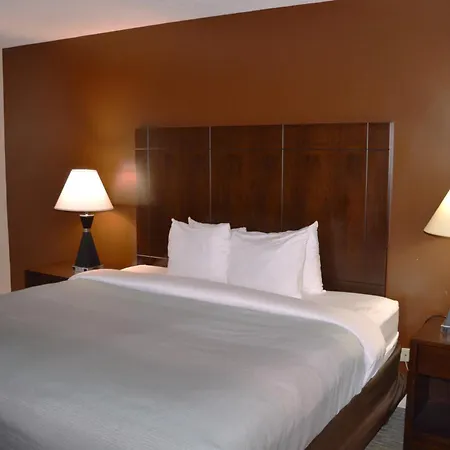 Quality Inn O'Hare Airport-3