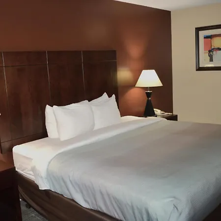 Quality Inn O'Hare Airport-2