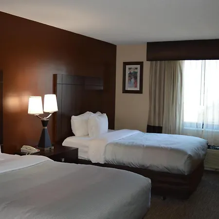Quality Inn O'Hare Airport-3