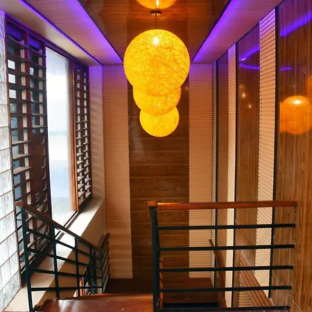 Bulabard Wailoaloa-3