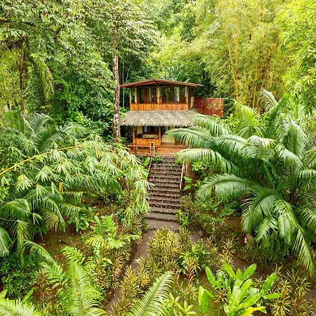 Copa De Arbol Beach&Rainforest Resort-2