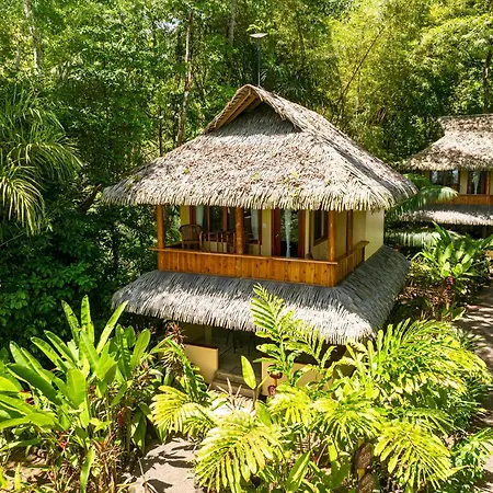 Copa De Arbol Beach&Rainforest Resort-3