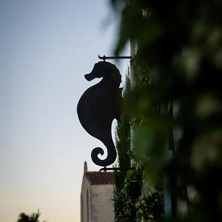 L'Hippocampe-2