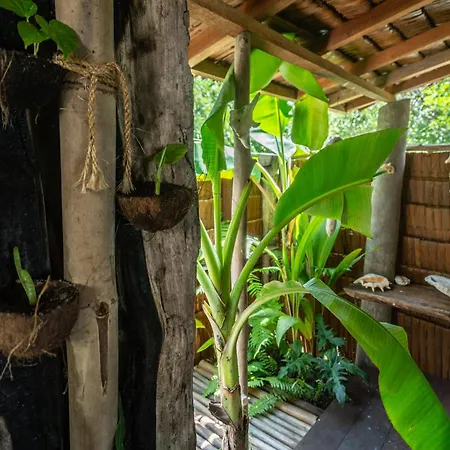 Pinang Island - Private Island Sea View Bungalows-2