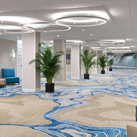Hilton Clearwater Beach Resort&Spa-2