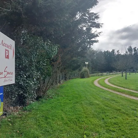 Retour Aux Sources-2