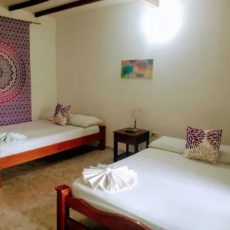 Hotel Palma Real-2
