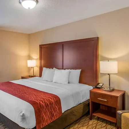 Comfort Inn Mount Shasta Area-2