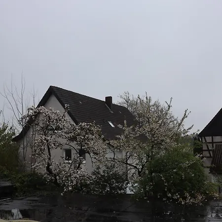 Hotel Haarener Hof-3