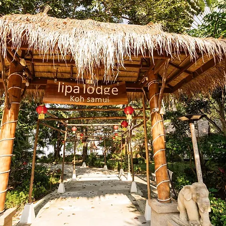 Lipa Lodge Beach Resort-3