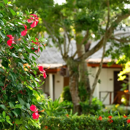 Lipa Lodge Beach Resort-2