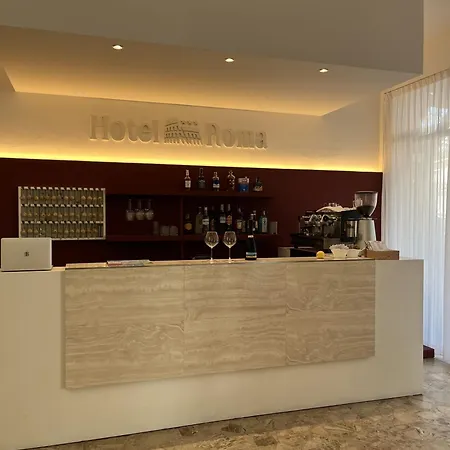 Hotel Roma-3